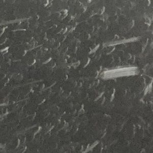 Meet your Posher, Sierra